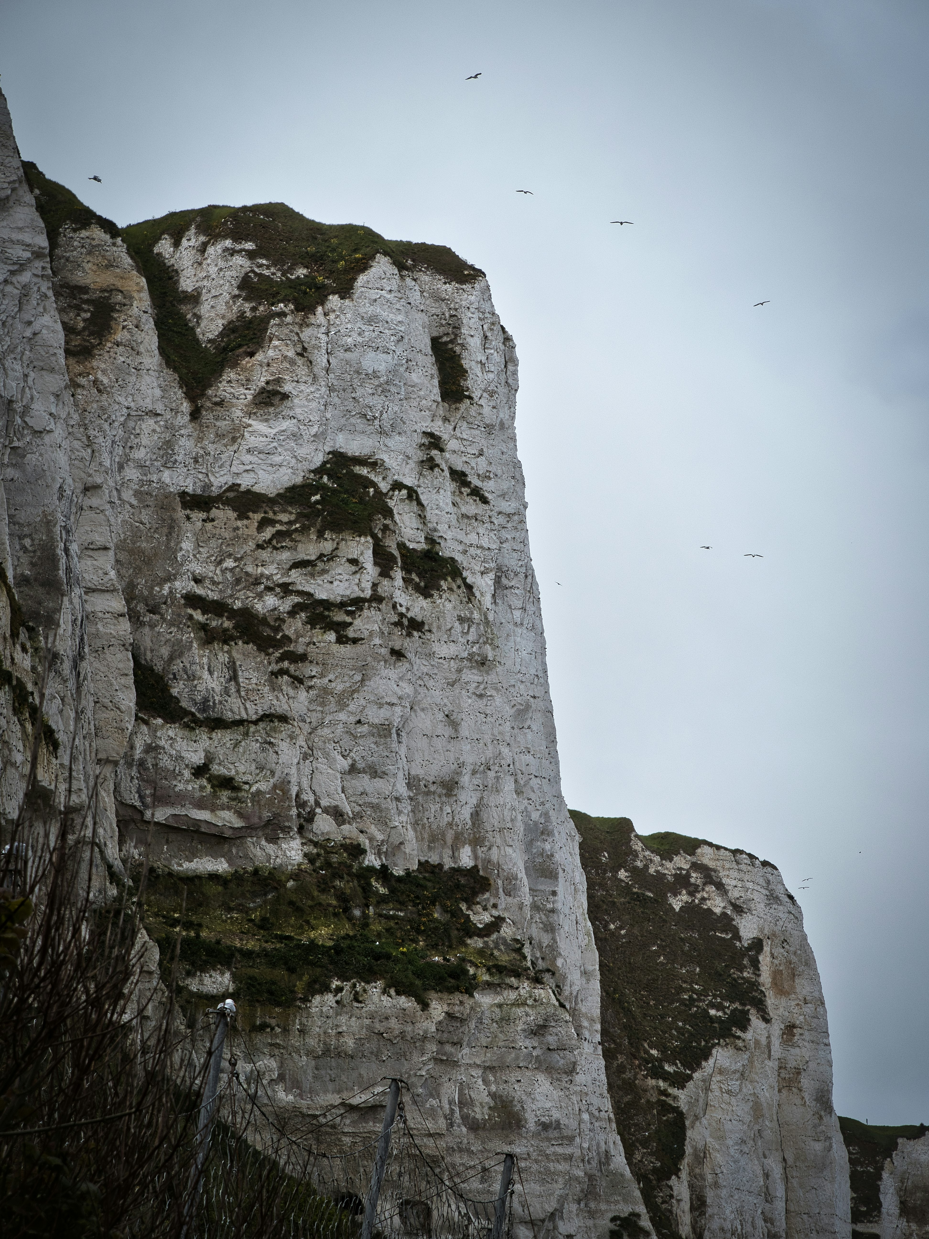 gray rock formation under white sky during daytime